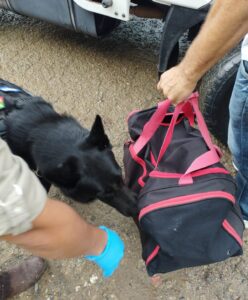 La Unidad Canina inicio el 20 de julio del 2018.