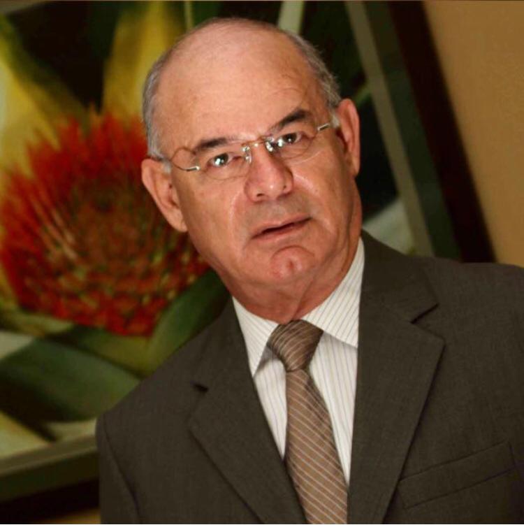 Relanzando la industria: Piña de Costa Rica - Agrodiario