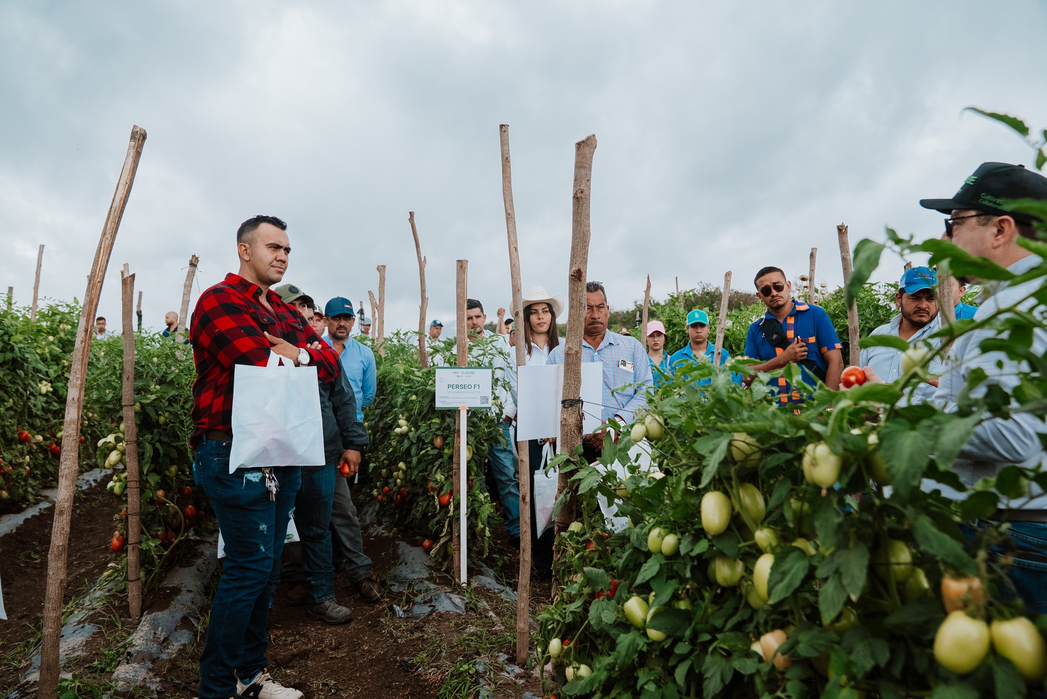 COHORSIL, promueve la innovación agricola