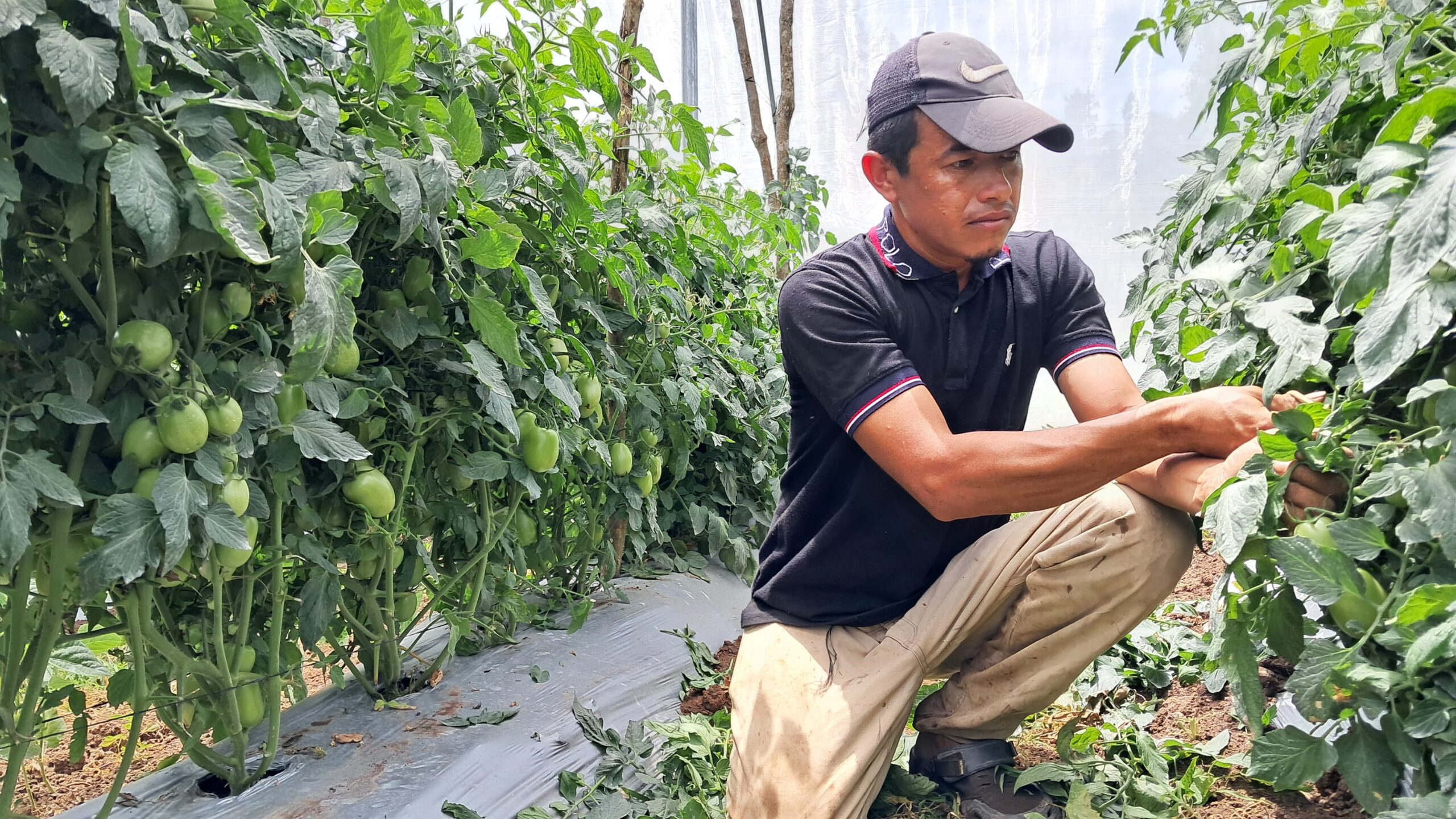 Impulsan iniciativas para jóvenes rurales