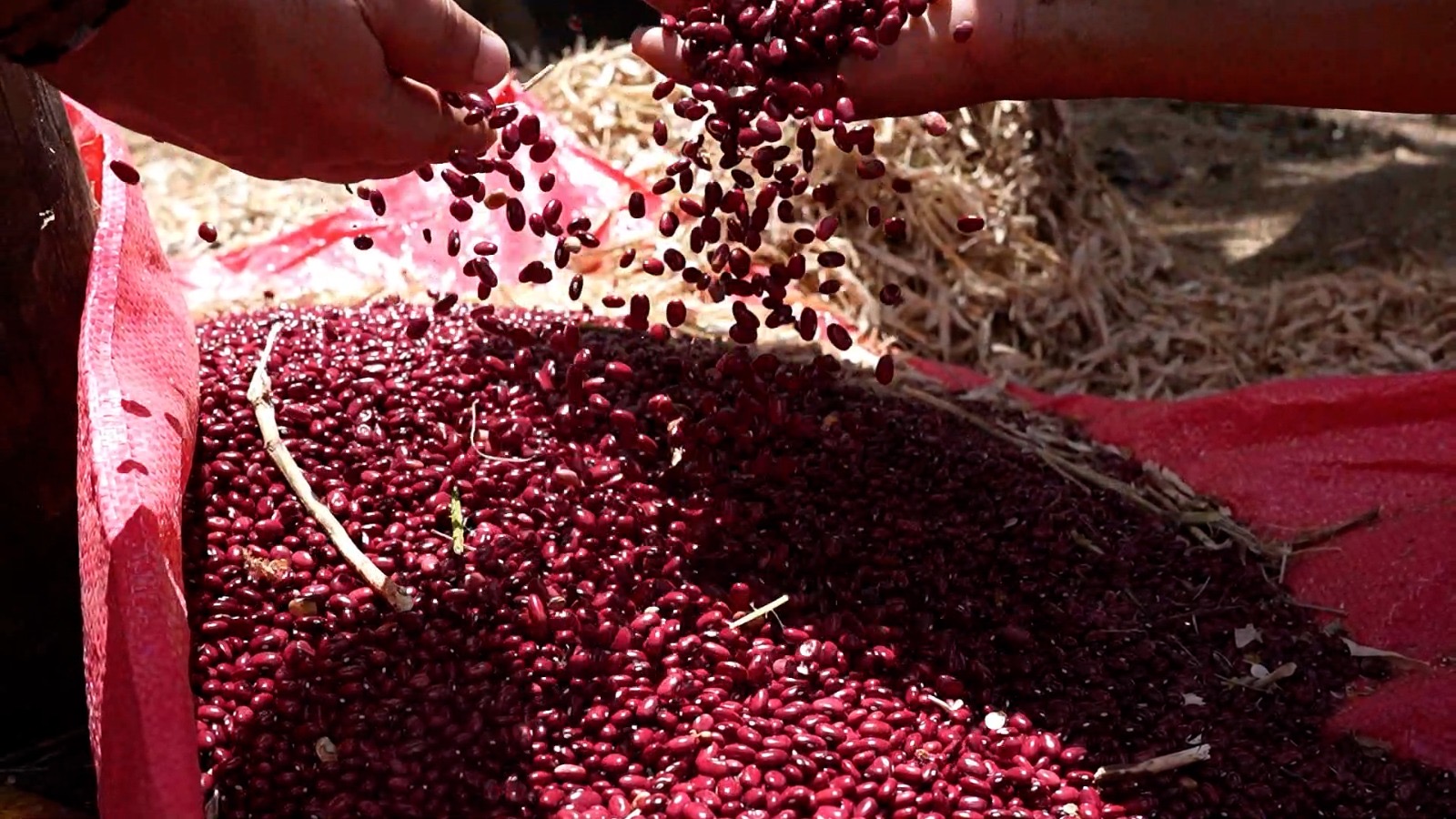 Estrategia para proteger producción nacional