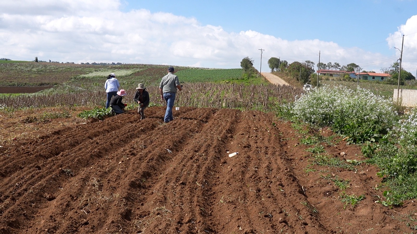 Fortalecen la producción agrícola