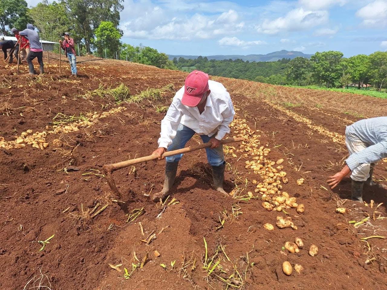 Acceso al crédito y la producción agrícola