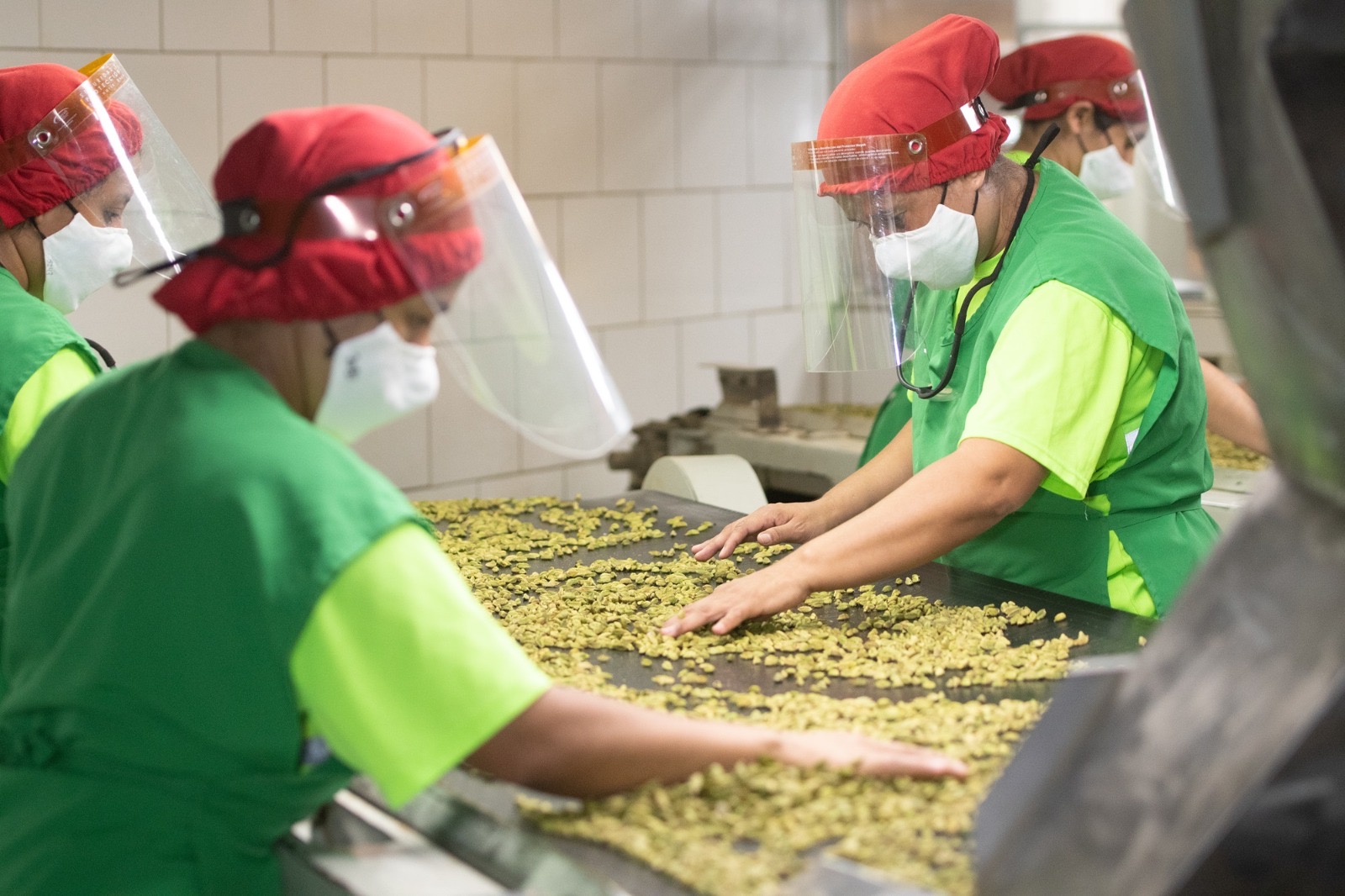 Crece exportación de cardamomo