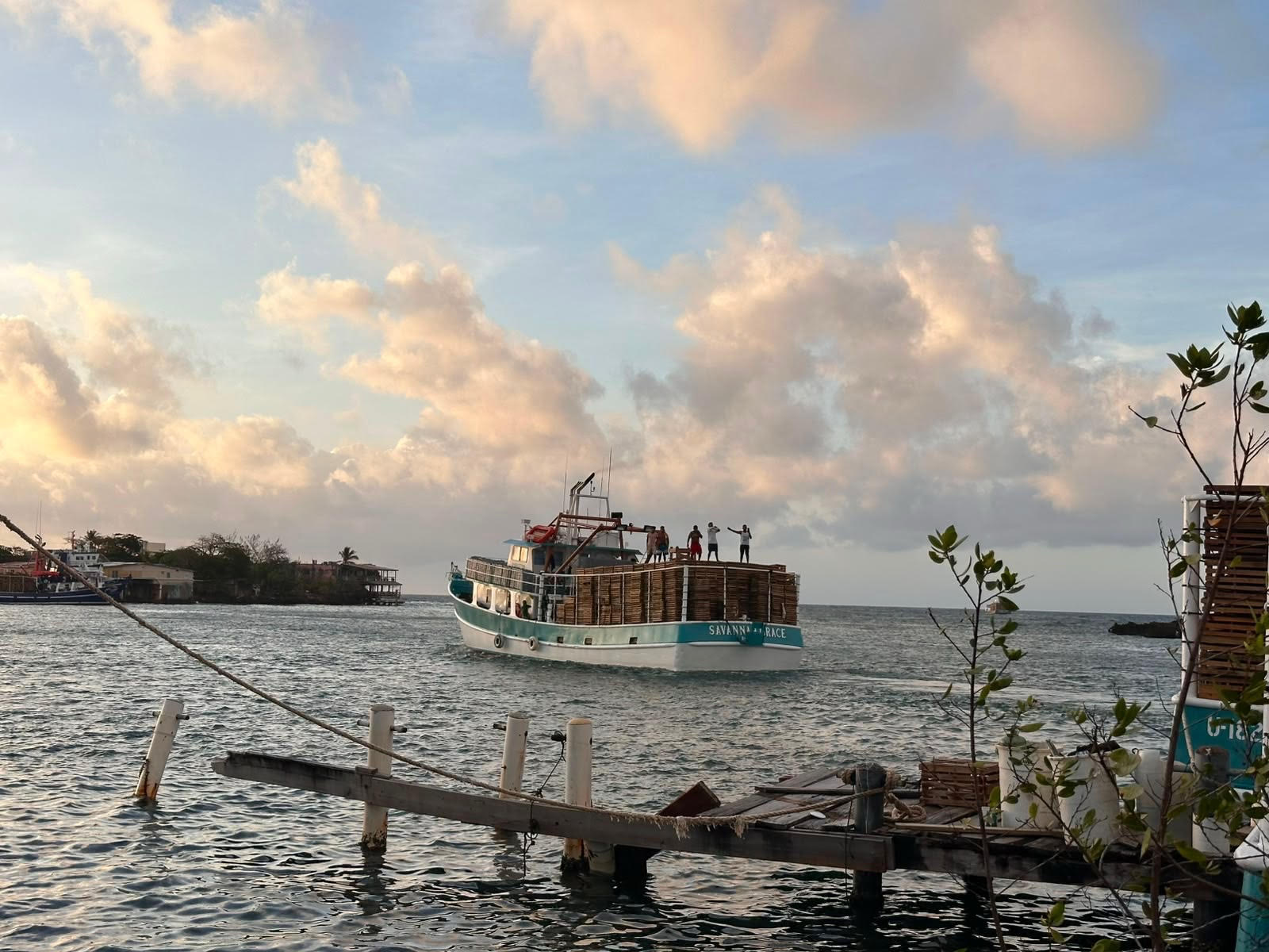 Inicia temporada de pesca de langosta