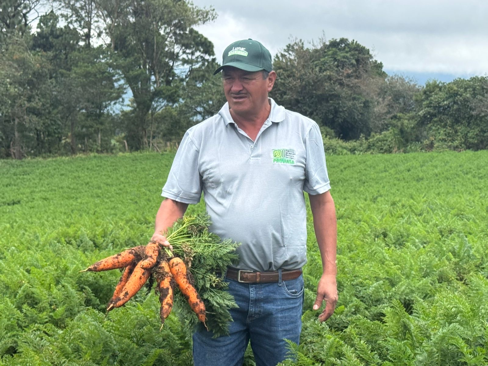 Dan valor agregado a horticultores