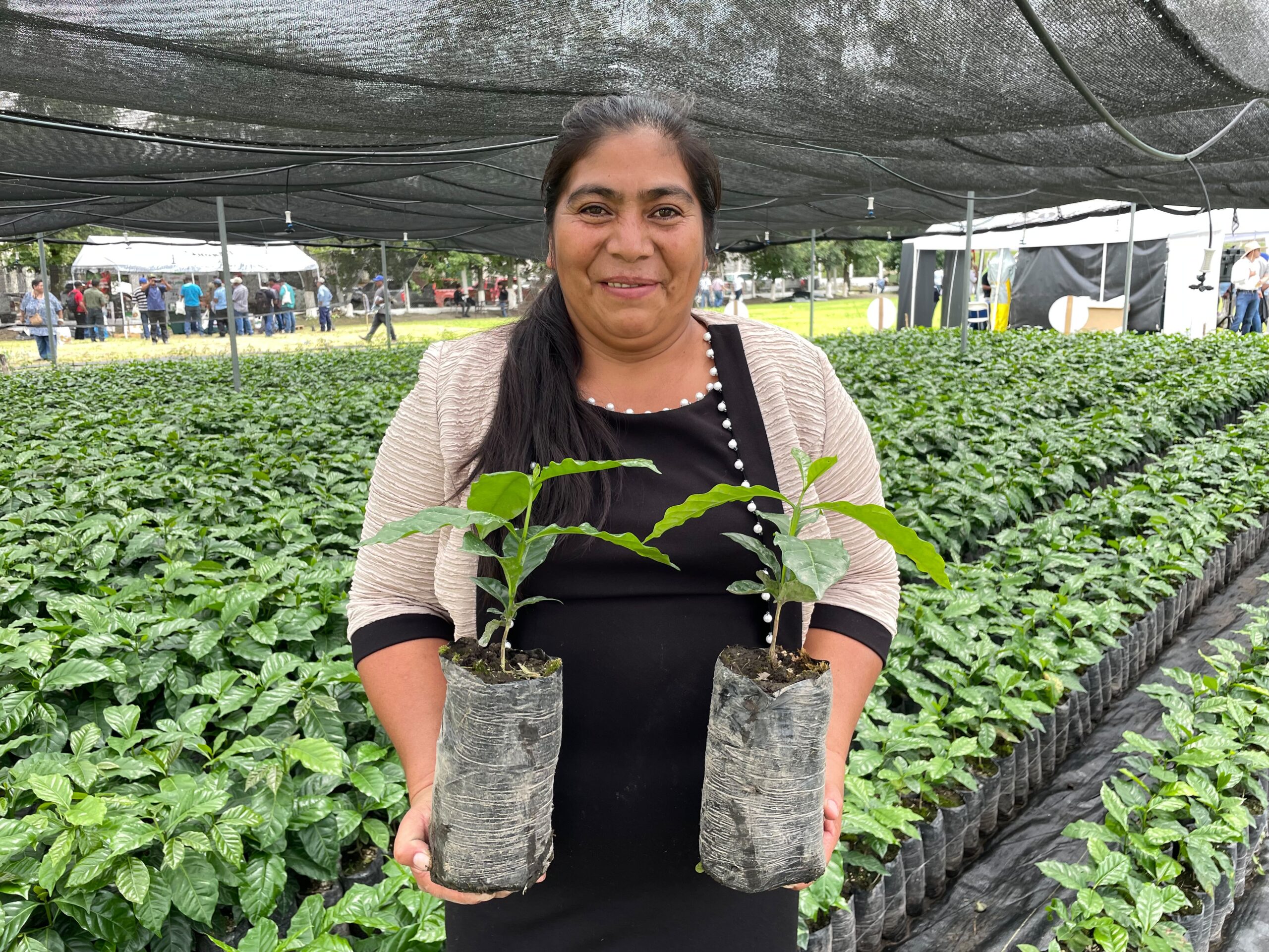 COHORSIL y Bayer innovan en café